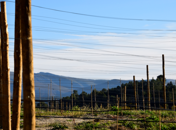 Quinta de Santa Cristina